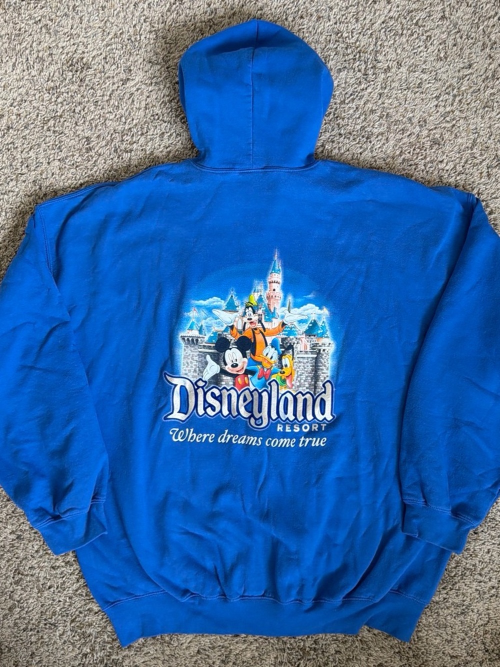 Y2K Disneyland Resort Mickey & Friends Castle Blue 2XL Zip Up Hoodie